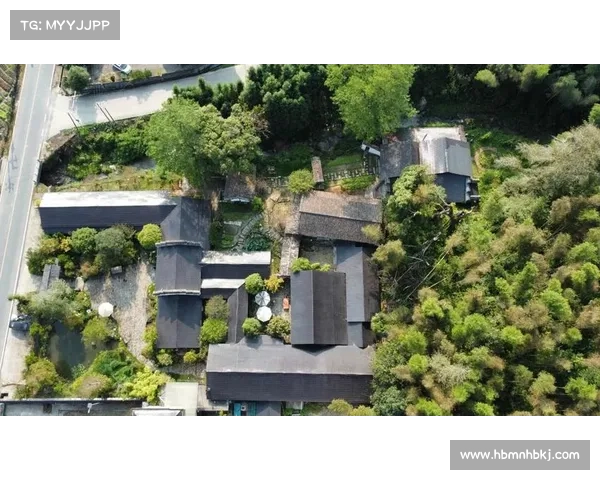 探秘神兽森林秘境之旅体验自然奇观与未知惊喜是否值得前往